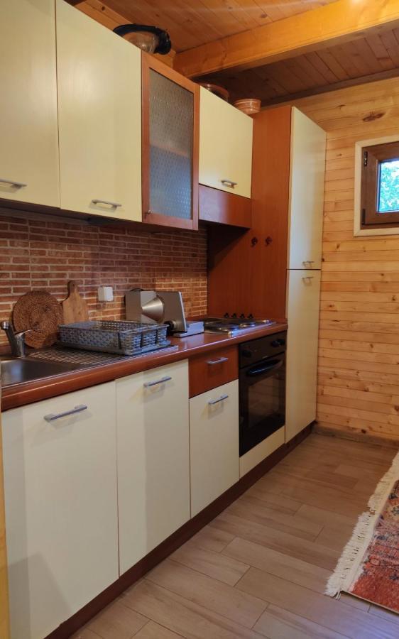 Guesthouse Mg Žabljak 外观 照片